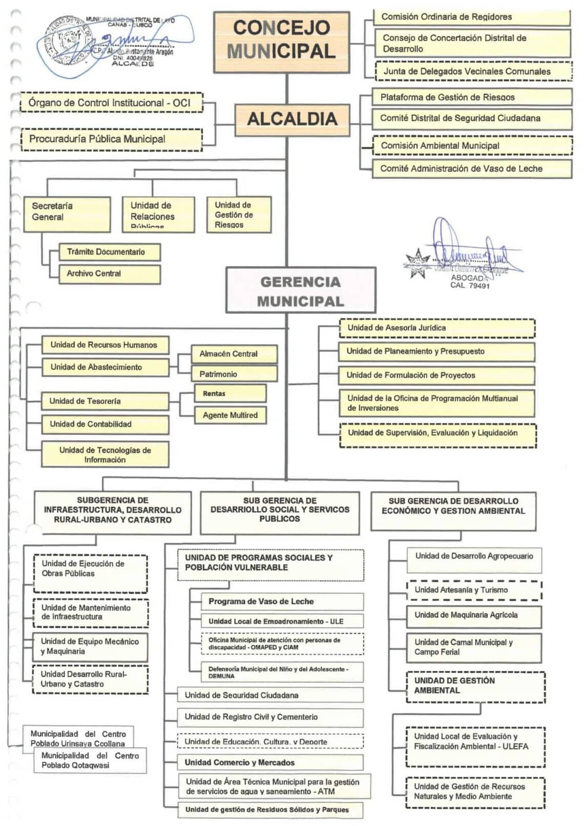 ORGANIGRAMA MDL 2024